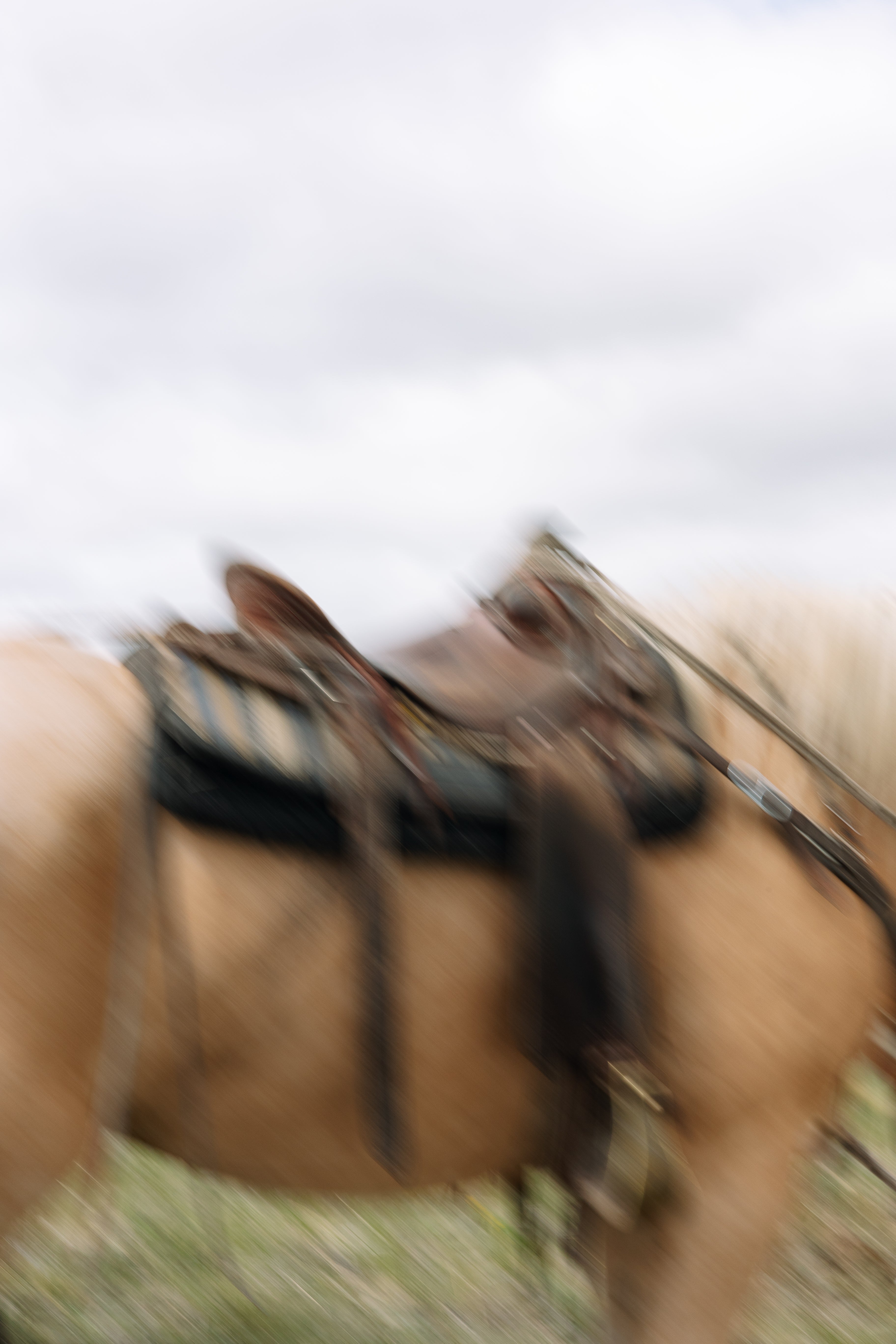 Sky and Saddle Horse