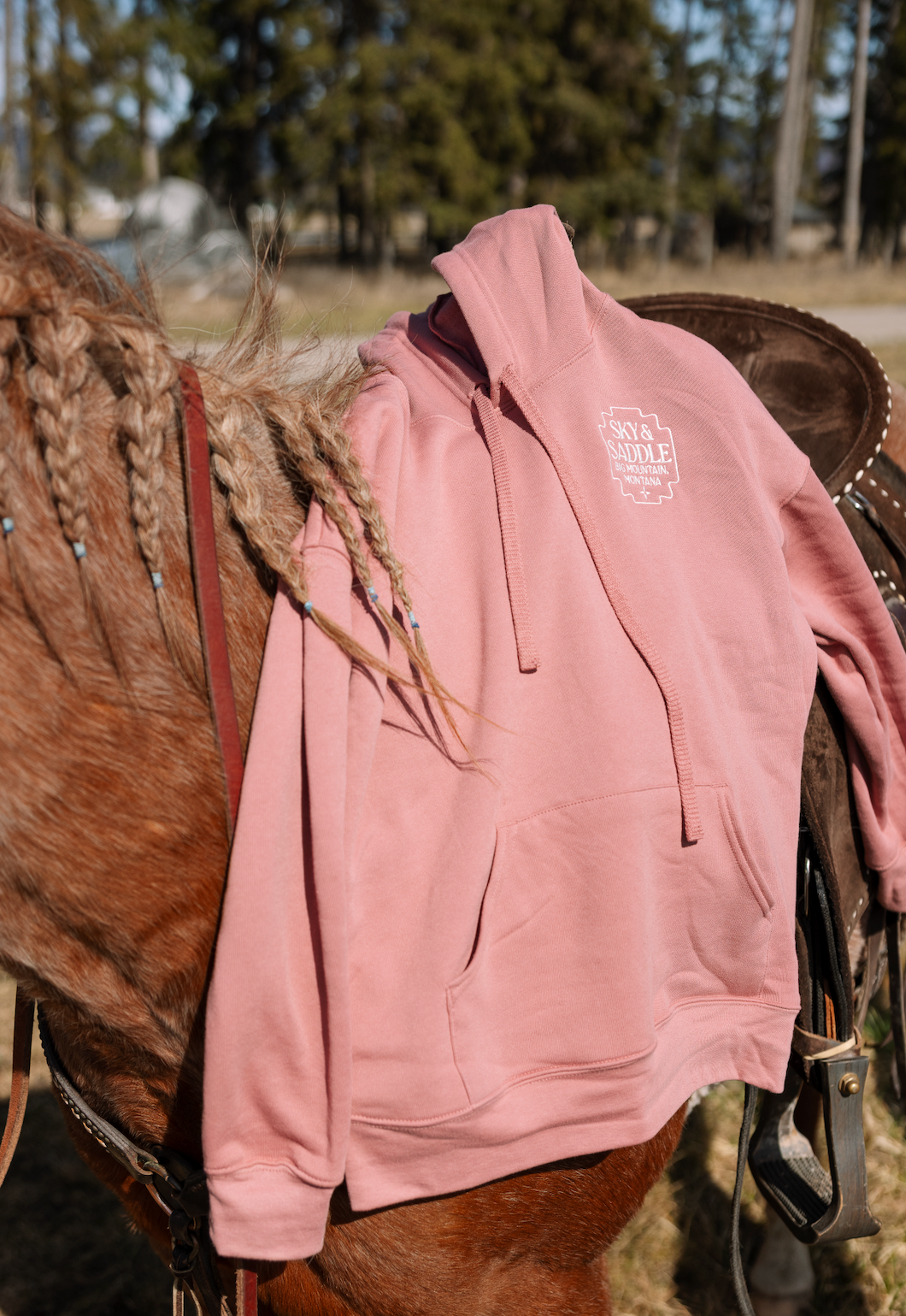 Strawberry Roan - Spring Rider Hoodie | Western Women's Hoodie